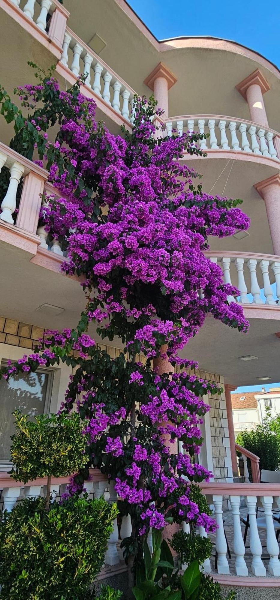 kurt apartaments Ulcinj Bagian luar foto